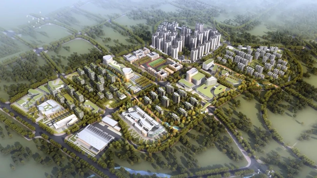 1623736423331181.jpg 1623736423331181.jpg