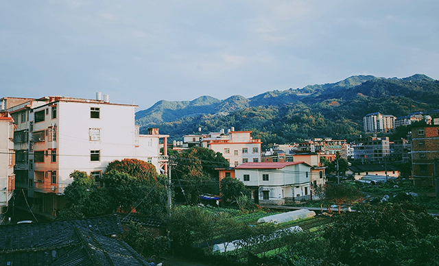 1657159325658099.jpg 640.jpg