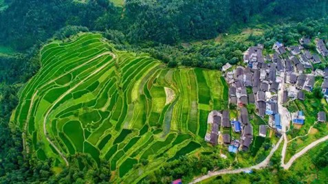 1718247947402813.jpg 1718247947402813.jpg